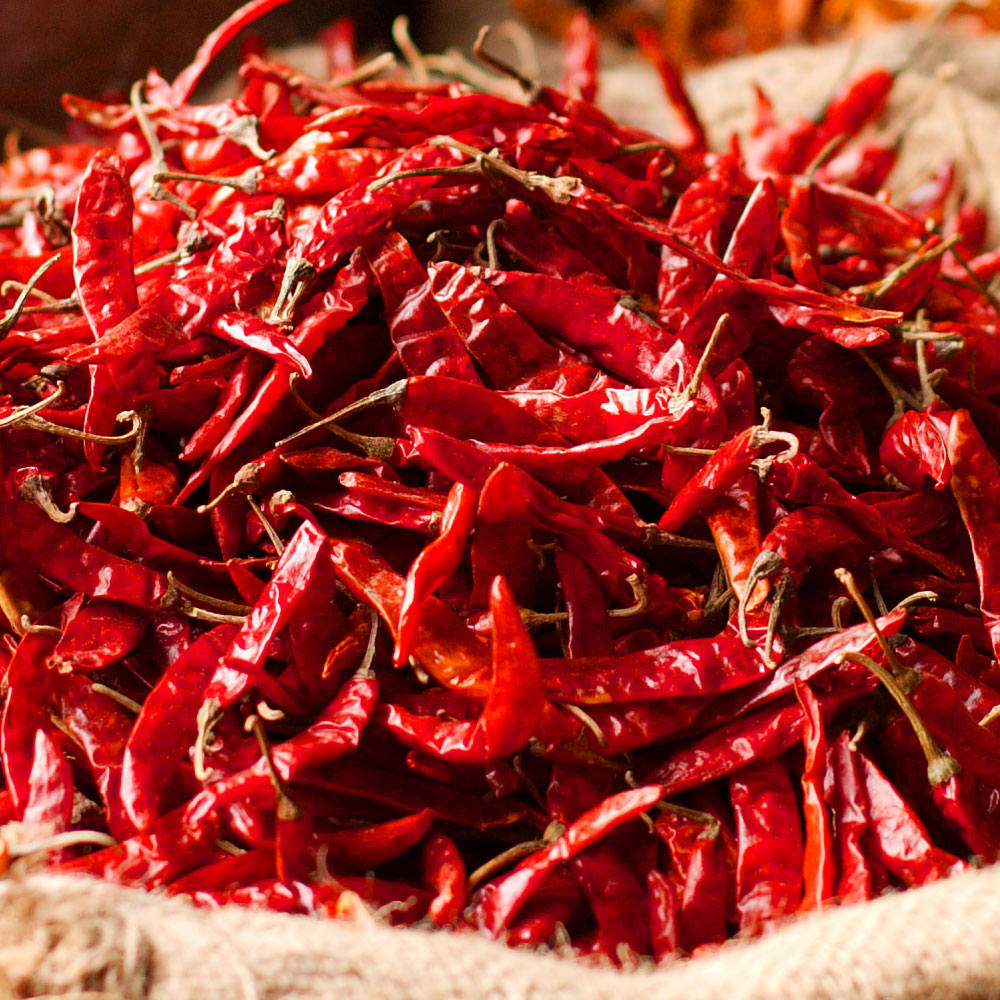 yepar-salsa-organica-red-chilli-photo